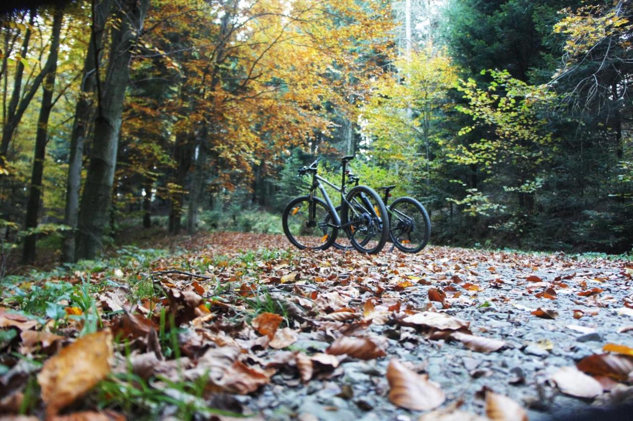 Rowerowyfun Appartement Nowy Sącz Buitenkant foto
